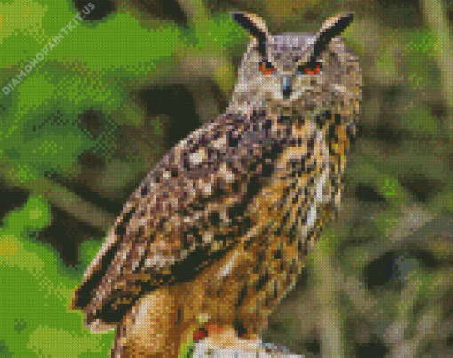 Eagle Owl Bird Diamond Painting