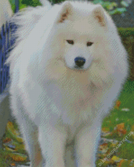 Fluffy Dog Diamond Painting