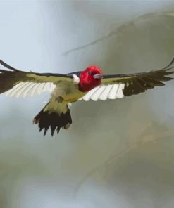 Flying Red Headed Woodpecker Diamond Painting