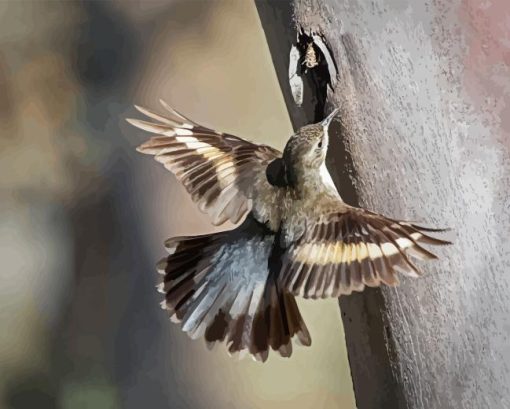 Flying Treecreeper Bird Diamond Painting