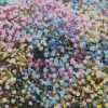 Gypsophila Colorful Flowers Diamond Painting