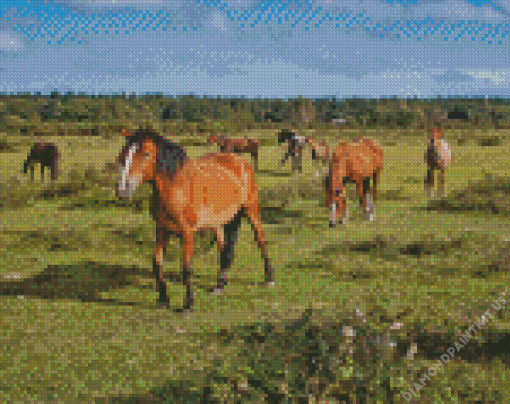 Horses In New Forest National Park Diamond Painting