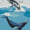 Humpback Whales Diamond Painting
