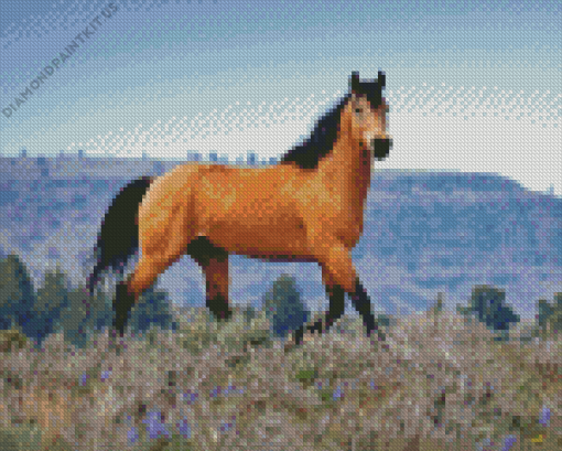 Kiger Mustang Diamond Painting