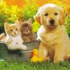 Kittens And Golden Puppy Diamond Painting