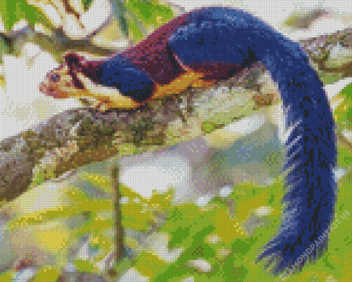 Rainbow Squirrel On Tree Diamond Painting