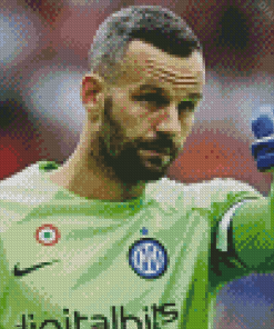 Samir Handanovic Football Player Diamond Painting