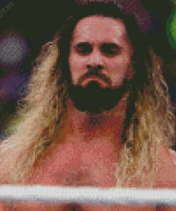Seth Rollins Wrestler Diamond Painting