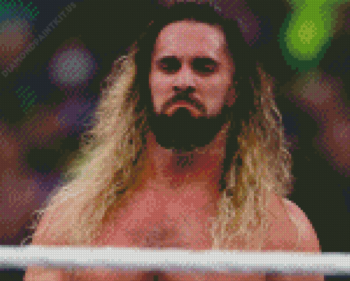 Seth Rollins Wrestler Diamond Painting