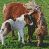 Shetland Pony Diamond Painting