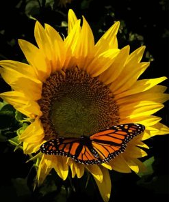 Sunflower Butterfly Diamond Painting