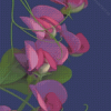 Sweet Peas Diamond Painting