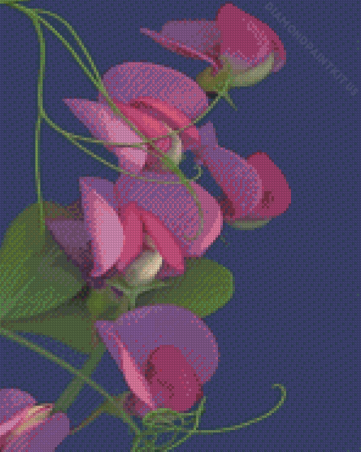 Sweet Peas Diamond Painting