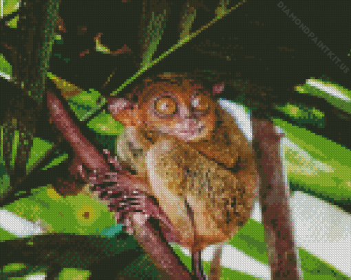 Tarsier On Tree Diamond Painting