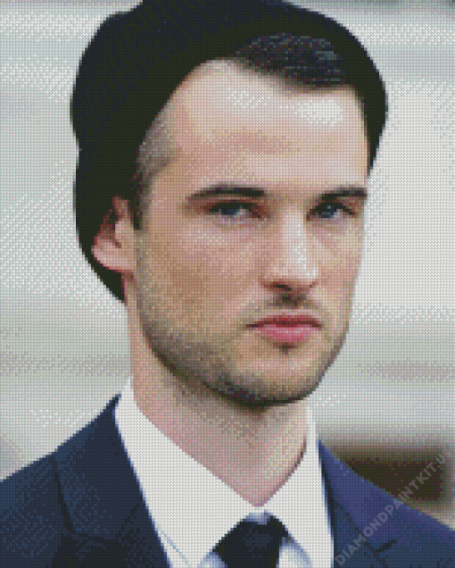 Tom Sturridge Diamond Painting