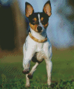 Toy Fox Terrier Dog Diamond Painting