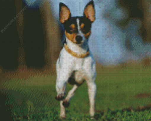 Toy Fox Terrier Dog Diamond Painting