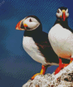 Two Puffins On Rocks Diamond Painting