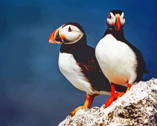 Two Puffins On Rocks Diamond Painting