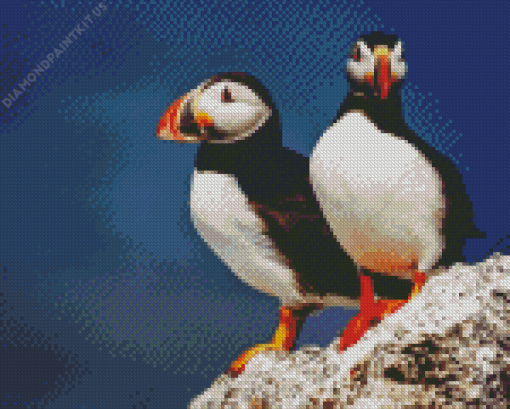 Two Puffins On Rocks Diamond Painting