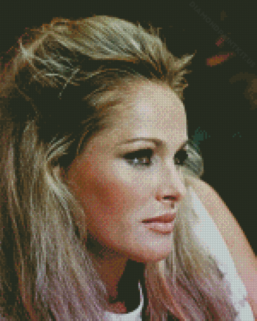 Ursula Andress Diamond Painting