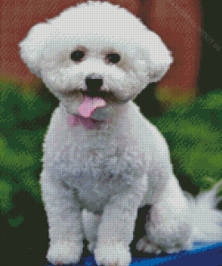White Miniature Poodle Diamond Painting