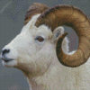 White Sheep With Horns Diamond Painting