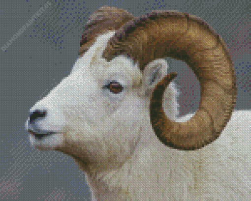 White Sheep With Horns Diamond Painting