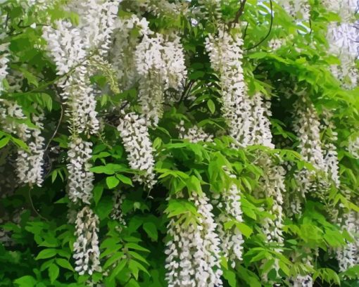 White Wisteria Floribunda Diamond Painting