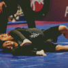 Women Grappling Diamond Painting