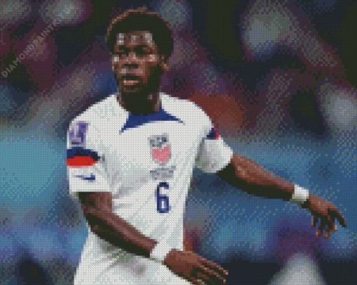 Yunus Musah Soccer Player Diamond Painting