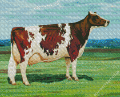 Ayrshire Cattle Diamond Painting