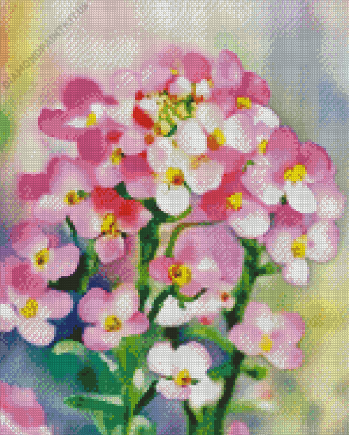 Blooming Pink Alyssum Diamond Painting