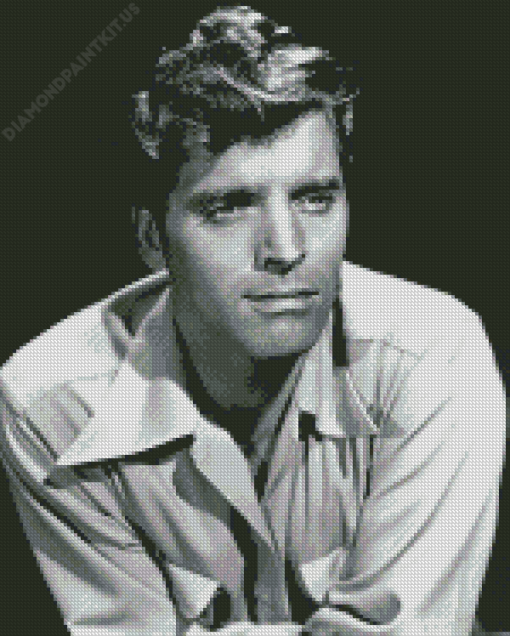 Burt Lancaster Diamond Painting