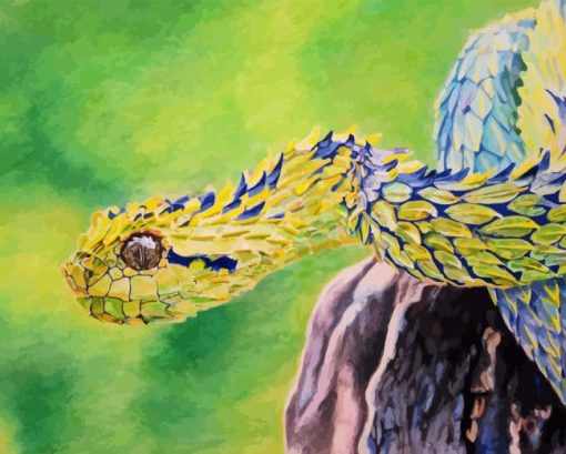 Bush Viper Art Diamond Painting