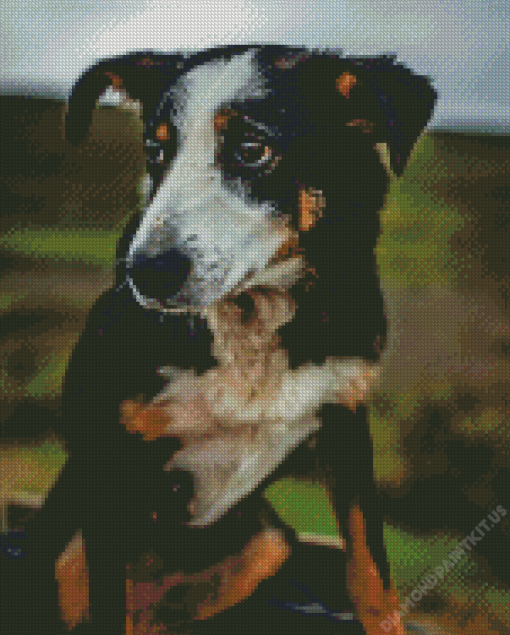 Herding Dog Diamond Painting