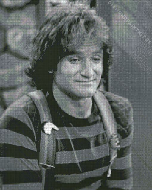 Mork In Mork In Mindy Diamond Painting