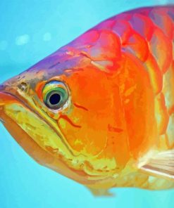Orange Arowana Fish Diamond Painting