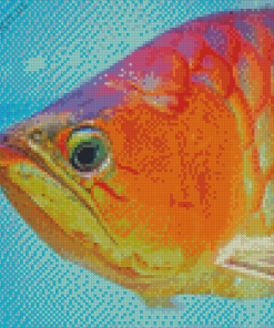 Orange Arowana Fish Diamond Painting