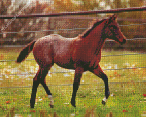 Red Horse With Foal Diamond Painting