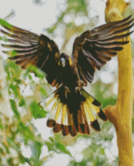 Yellow Tailed Black Cockatoo Diamond Painting