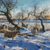 Blackface Sheep In Snow Diamond Painting