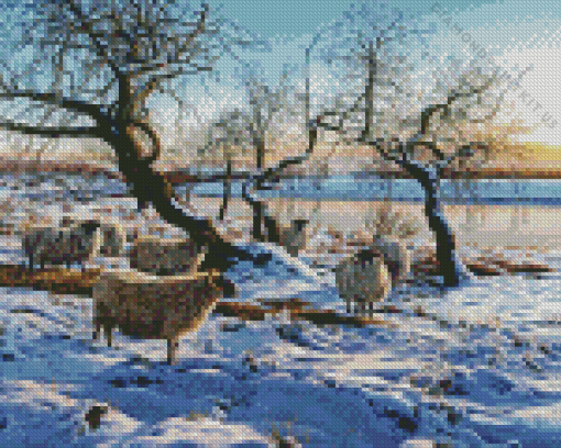 Blackface Sheep In Snow Diamond Painting