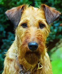 Irish Terrier Diamond Painting