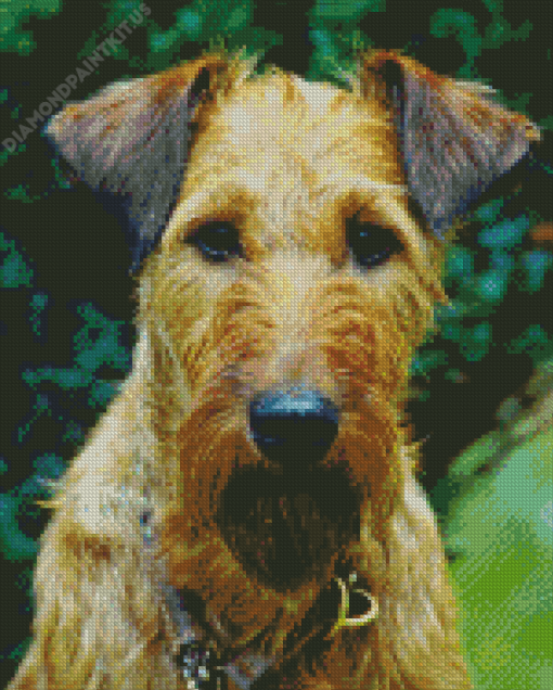 Irish Terrier Diamond Painting