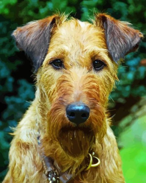 Irish Terrier Diamond Painting