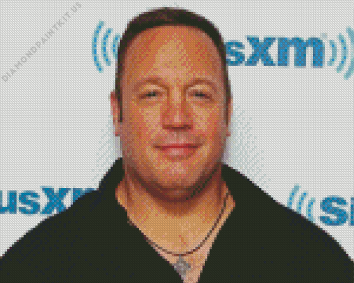 Kevin James Diamond Painting