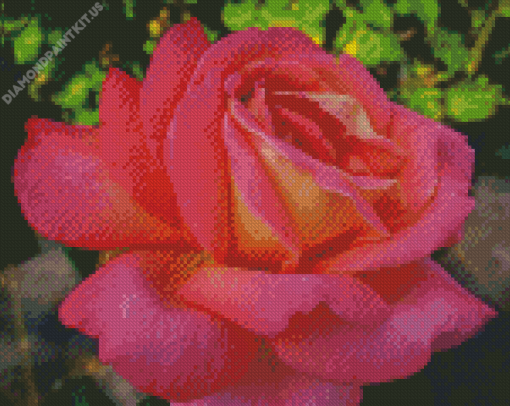 Rosa Peace Diamond Painting