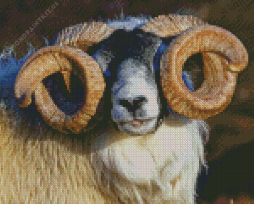 Scottish Black Faced Sheep Diamond Painting