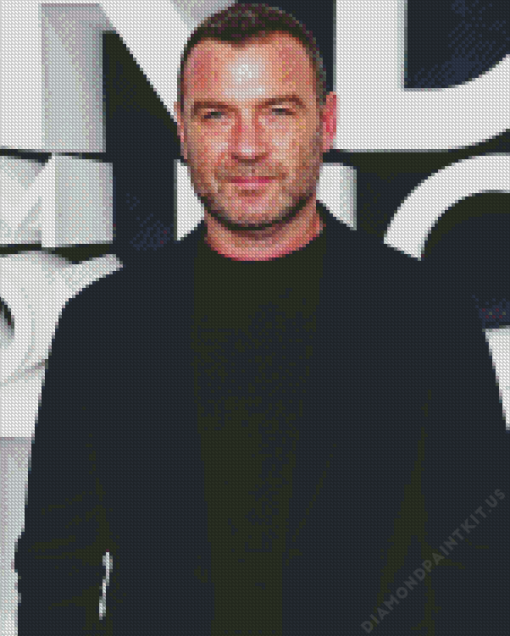 The Actor Liev Schreiber Diamond Painting